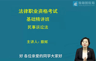 民诉法-蔡辉